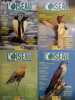 L'Oiseau Magazine. Année 2003 complète. Numéros 70 à 73. Revue de la ligue française pour la protection des oiseaux.. L'OISEAU MAGAZINE 2003 