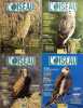L'Oiseau Magazine. Année 2004 complète. Numéros 74 à 77. Revue de la ligue française pour la protection des oiseaux.. L'OISEAU MAGAZINE 2004 