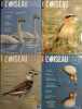 L'Oiseau Magazine. Année 2006 complète. Numéros 82 à 85. Revue de la ligue française pour la protection des oiseaux.. L'OISEAU MAGAZINE 2006 