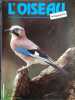 L'Oiseau Magazine. N° 13. Revue de la ligue française pour la protection des oiseaux.. L'OISEAU MAGAZINE 