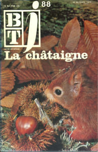Bibliothèque de travail junior N° 88 : La châtaigne.
