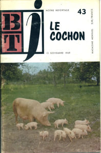 Bibliothèque de travail junior N° 43 : Le cochon.