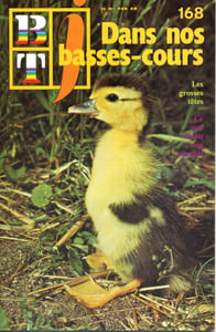 Bibliothèque de travail junior N° 168 : Dans nos basses-cours.