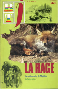 Bibliothèque de travail junior N° 269 : La rage.