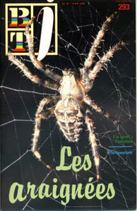 Bibliothèque de travail junior N° 293 : Les araignées.