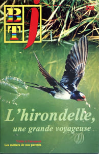 Bibliothèque de travail junior N° 298 : L'hirondelle, une grande voyageuse.