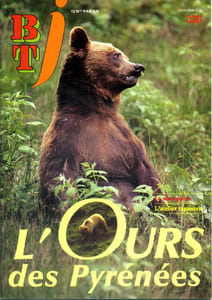 Bibliothèque de travail junior N° 320 : L'ours des Pyrénées.