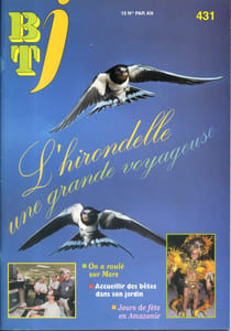 Bibliothèque de travail junior N° 431 : L'hirondelle, une grande voyageuse.