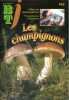 Bibliothèque de travail junior N° 443 : Les champignons.. BTJ 