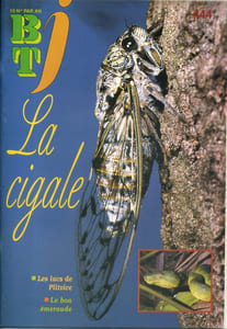 Bibliothèque de travail junior N° 444 : La cigale.