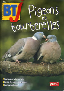 Bibliothèque de travail junior N° 467 : Pigeons et tourterelles.