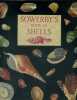 Sowerby's book of shells.. SOWERBY G. B. 