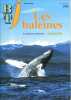 Bibliothèque de travail junior N° 349. Les baleines.. BTJ 
