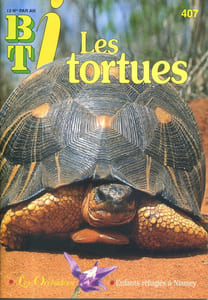 Bibliothèque de travail junior N° 407. Les tortues.