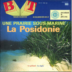 Bibliothèque de travail N° 989. Une prairie sous-marine : la posidonie. Le goéland - La cigale.