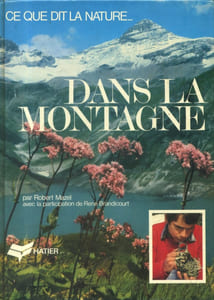 Dans la montagne.