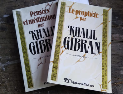 Deux ouvrages : Le prophète. - Pensées et méditations