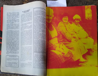 Antirouille N° 32. Spécial Folie. Interview de Jacques Higelin, Bargeots, Asile, Frappés, Chtarbés...
