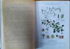 Plantes m&eacute;dicinales de France. Tome II seul.. PERROT Em. (Pr) Environ 60 planches en couleurs.