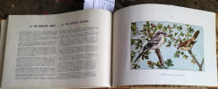 Nuisibles et rapaces. 43 animaux pr&eacute;sent&eacute;s (notice et illustration pleine page en couleurs).. MANUFRANCE 