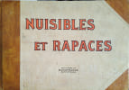 Nuisibles et rapaces. 43 animaux pr&eacute;sent&eacute;s (notice et illustration pleine page en couleurs).. MANUFRANCE 
