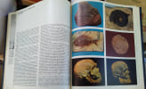 Encyclop&eacute;die th&eacute;matique Weber en 17 volumes. 1 : Le monde. - 2 et 3 : La vie.- 4 : L'homme. - 5 et 6 : La science. - 7 et 8 : la technique. - 9 : ...