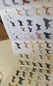 Le grand livre du chien, en 2 volumes.