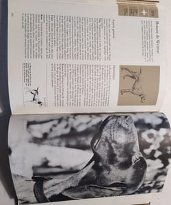 Le grand livre du chien, en 2 volumes.
