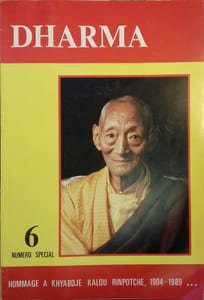 Revue Dharma 6. Numéro spécial.