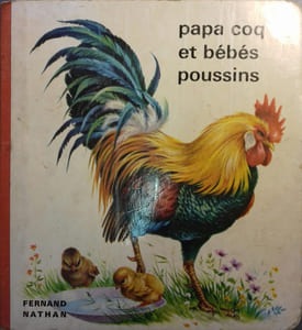 Papa coq et bébés poussins.