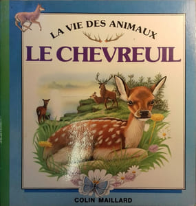 Le chevreuil.