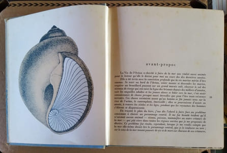 Les merveilles de la mer et de ses rivages.