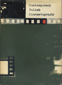 Contemporary polish cinematography.