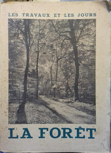 La forêt.