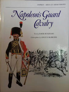 Napoleon's guard cavalry.