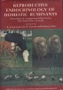 Reproductive endocrinology of domestic ruminants. Proceedings of a symposium at Leure - Australia - February 1980.. SCARAMUZZI R.J. - LINCOLN D.W. - ...