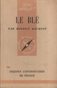 Le blé.
