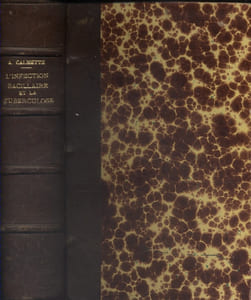 L'infection bacillaire et la tuberculose chez l'homme et chez les animaux. Processus d'infection et de défense. Etude biologique et expérimentale. Vaccination préventive.