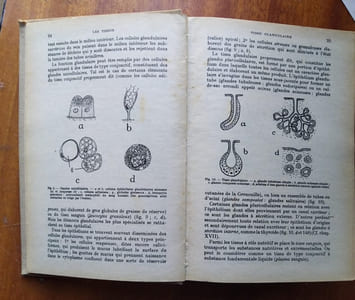 Biologie animale. (P.C.B.).