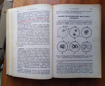 Biologie animale. (P.C.B.).