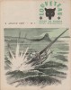 Louveteau 1957 N° 1. Revue bimensuelle des Scouts de France.. LOUVETEAU 1957 