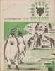 Louveteau 1957 N° 16. Revue bimensuelle des Scouts de France.. LOUVETEAU 1957 