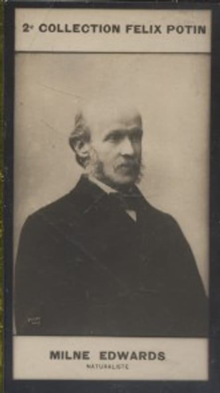 Photographie de la collection Félix Potin (4 x 7,5 cm) représentant : Alphonse Milne-Edwards, naturaliste.. MILNE-EDWARDS (Alphonse) - (Photo de la 2e ...