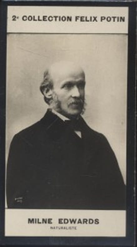 Photographie de la collection Félix Potin (4 x 7,5 cm) représentant : Alphonse Milne-Edwards, naturaliste.. MILNE-EDWARDS (Alphonse) - (Photo de la 2e ...