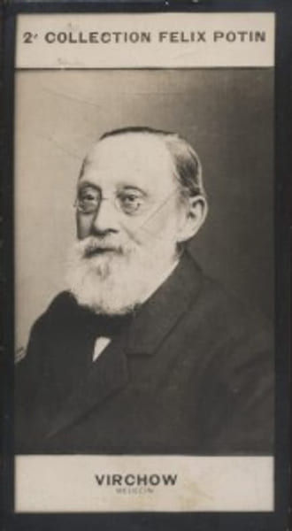Photographie de la collection F&eacute;lix Potin (4 x 7,5 cm) repr&eacute;sentant : Rodolphe Virchow, m&eacute;decin.. VIRCHOW Rodolphe - (Photo de la 2e collection F&eacute;lix ...