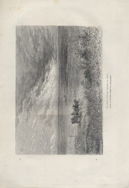 Vue prise dans les steppes du Dnepr. Gravure extraite de la G&eacute;ographie universelle d'Elis&eacute;e Reclus.. DNEPR 