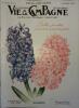 Vie à la campagne numéro 444. Couverture et article (2 pages) : Les jacinthes. La floraison des chrysanthèmes (1 page et demie). Quand vous chassez la ...