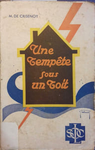 Une tempête sous un toit.