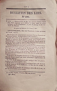 Bulletin des lois. Contient, entre autres, l'ordonnance du Roi qui autorise l'établissement d'un pont suspendu sur le Rhône à Lyon et le tarif du bac au lieu dit la gare, commune de Bercy.