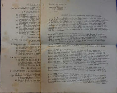 Enquête sur les problèmes constitutionnels.